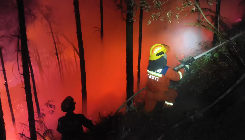 《致敬逆行--最美身影组图》