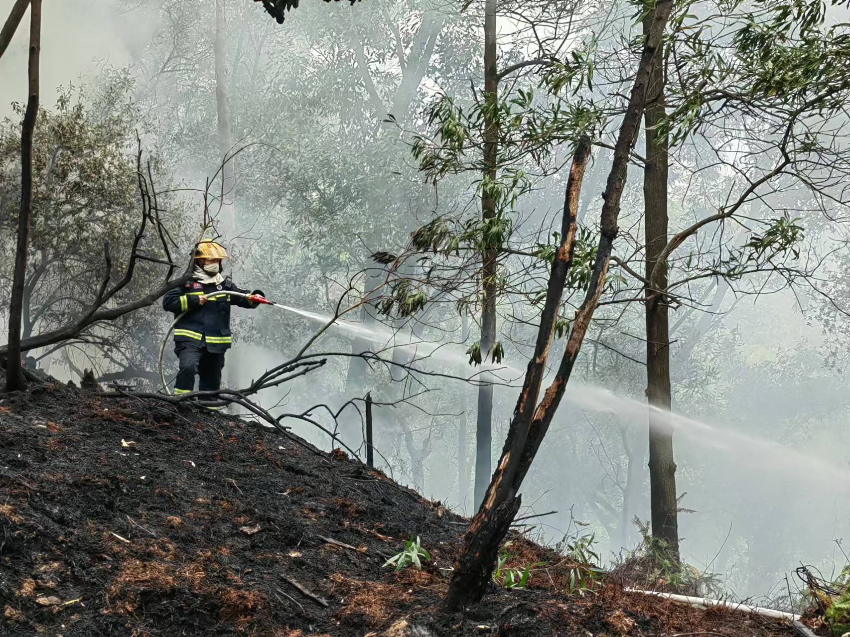 《致敬逆行--最美身影组图》