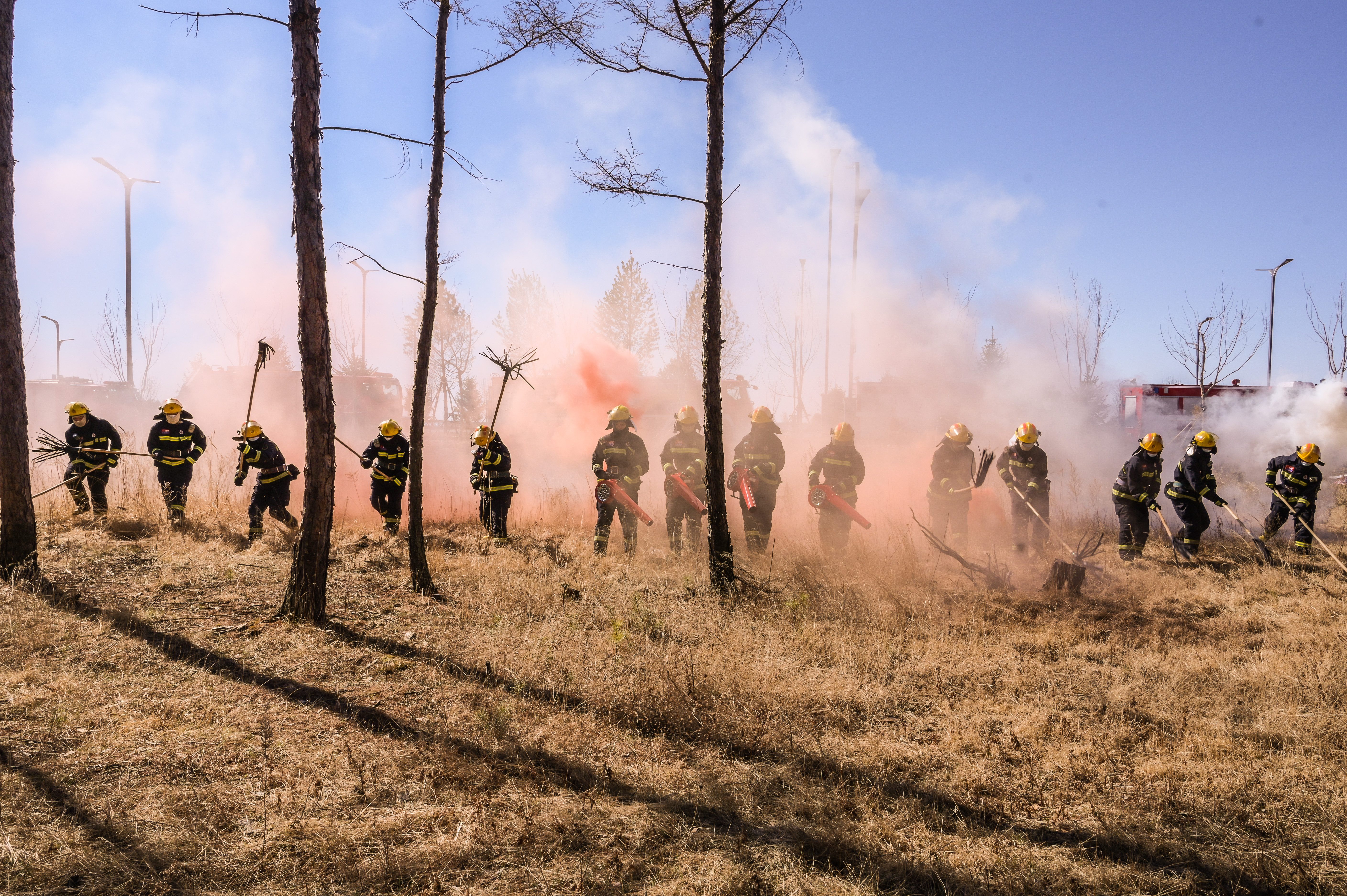 《水上骑兵》《风为令》《冰与火》《英姿》