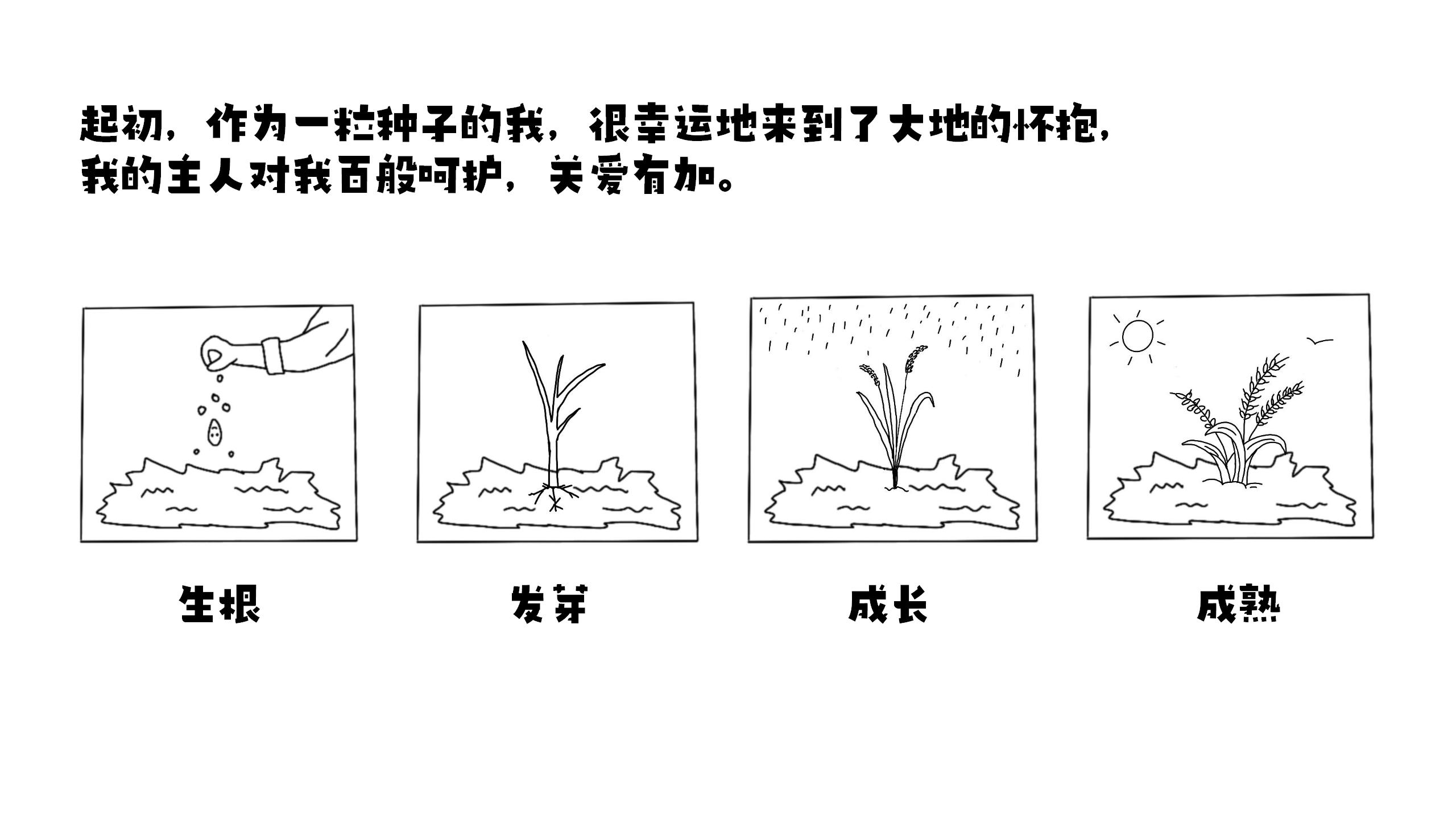 《大米历险记之火场求生》(（一）
