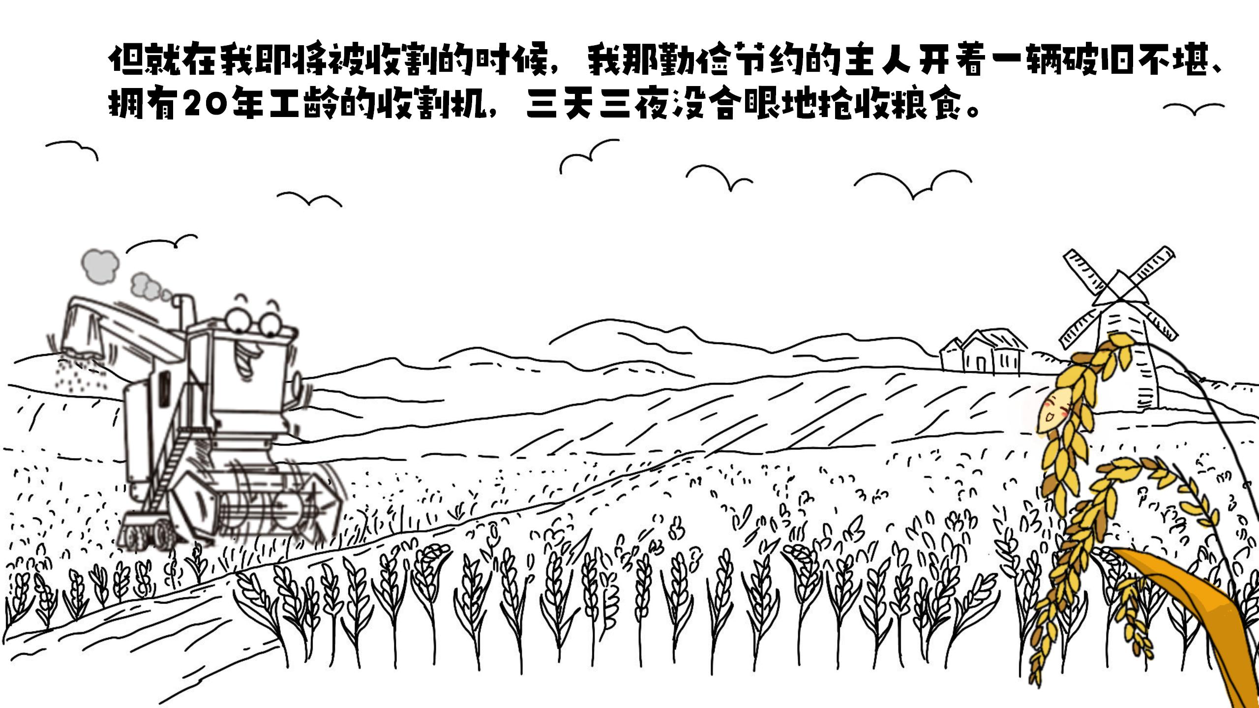 《大米历险记之火场求生》(（一）